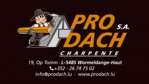 ProDach